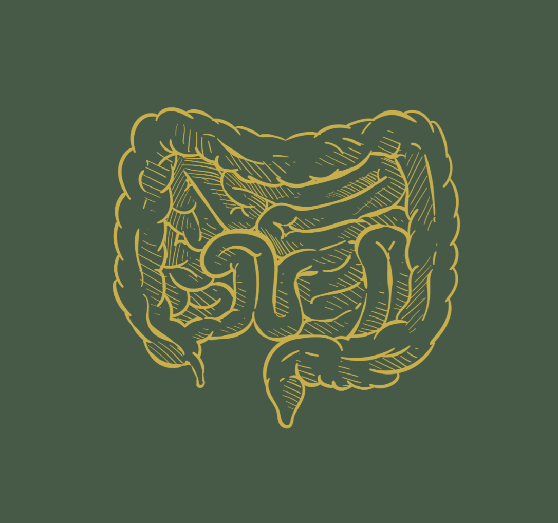 Digestive Assistant/ Gut Health